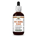 Yu Xing Cao (Houttuynia Cordata) Dry Herb Glycerite, All Natural, Vegan, Lab Tested Alcohol-Free Liquid Extract - 2 fl.oz