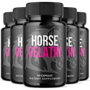 (5 Pack) Horse Gelatin Capsules, HorseGelatin Pills for Men with All Natural Ingredients, Advanced Formula Men's Health and Wellness Pill, Maximum Strength Multivitamin Supplement (300 Capsules)