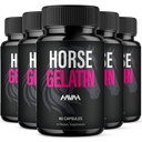 Havah Horse Gelatin Advanced Overall Support Capsules, Horse Gelatin Advanced All Natural Health Management and Overall Wellness Support Supplement Formula Pills (5 Pack - 300 Capsules)