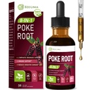 Poke Root Drops for Lymphatic Drainage & Immunity, 8-in-1 Herbal Formula Supplement for Lymph System Support with Cleavers Burdock Root Echinacea. 2 oz
