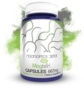 Nootropics Depot Magtein Magnesium L-Threonate Capsules | 540 Count | Mineral Supplement | Natural | Supports Mitochondrial Function | Boosts Energy and Cognitive Function