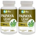 Papaya Leaf Extract Capsules (Tablets) - 500 mg 240 Pills, Supports Immunity & Digestion - 120 Days Supply