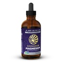 Sunwarrior Magnesium Mineral Supplement Natural Ionic Liquid Drink Additive | Features Trace Minerals to Support Brain Heart & Muscle (4 FL Oz) 28 Servings