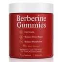 Berberine Gummies 500mg – Blood Sugar Support with Berberine HCl, Apple Cider Vinegar, Ceylon Cinnamon, Milk Thistle & Inulin – Metabolism & Gut Health Formula – Vegan, Sugar Free, 60 Gummies