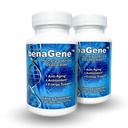 Benagene Oxaloacetaat Supplement - Ondersteunt Cellulaire Energie, Gezond Metabolisme, & Body Regulation - Thermisch gestabiliseerd met Vitamine C - Niet-GMO & Vegan - Eenmaal daags (60 porties)