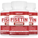 Fisetin Supplement 2000mg for Healthy Aging and Longevity, Skin Health, Brain - Soy Free, Vegetarian - 60 Softgels (3 Bottles)