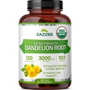 Zazzee USDA Biologische Dandelion Root 10:1 Extract, 3000 mg Sterkte, 120 Capsules, 4 maanden supply, genormaliseerd en geconcentreerd 10X Extract, 100% vegetarisch, all-natural en niet-GMO
