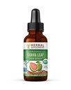 Guava Leaf Extract - Natural Guava Leaf - Support Hair, Skin & Nails, Digestion & Immunity - Health and Wellness - Non-GMO -1oz Liquid - Herbal Goodness (Pack of 12)