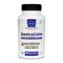 Wellzymes® GastroCalm for Upper Digestive Comfort | Marshmallow, DGL Licorice, Gentle Digestive Enzymes & More | Supports a Comfortable Post-Meal Stomach Environment | 90 Vegan Capsules