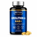 Urolithin A 1000MG Supplement with NAD+, CoQ10 & PQQ, 120 Softgels | Antioxidants and Mitochondrial Support for Vitality and Healthy Aging – Focus & Muscle Recovery for Men and Women