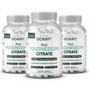 Organics Ocean Real Magnesium Citrate - High Absorption Magnesium Supplement - Chelated Magnesium to Support Energy, Relaxation, and Regularity - 3 Pack Bulk Supply