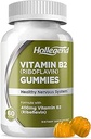 Vitamine B2 Gummies Riboflavine 400mg, B2 Vitamine Kauwbaar supplement, Veganistisch, Niet GGO, Oranje smaak, 60 Tellen