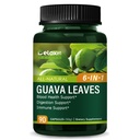 Guava Leaves (Hoja De Guayaba) Extract, Supplement Capsules for Blood Health Support & Digestion Support, Immune Support with Ceylon Cinnamon Bitter Melon. 90 Count