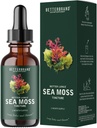 Betterbrand Sea Moss Drops Liquid Supplement met Irish Sea Moss Bladderwrack Burdock Root voor Lung Health Digestive Joint Thyroid Support Seamoss Drops 30 Day Supply