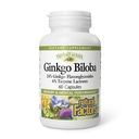 HerbalFactors by Natural Factors, Ginkgo Biloba, Ondersteunt geheugen, geestelijke prestaties en gezonde hersenfunctie, 60 capsules (60 porties)