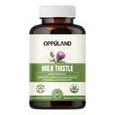 Milk Thistle Capsules - 250mg Herbal Liver Detox Supplement with Dandelion Root, Turmeric Root and Artichoke Extract - Advanced Milkthistle Complex for Liver Health & Defense - 120 Day Supply