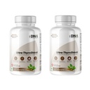 Ultra Thyroshield with KSM-66 Ashwagandha, L-Tyrosine, Selenium, Zinc, Vitamins D3 & B12, 120 Capsules (Pack of 2)