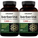 Berberine Supplement 1.500mg met Ceylon Cinnamon & Turmeric Root, 480 Veggie Capsules (2 Pack) 