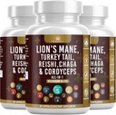 Paddestoelensupplement met Leeuwen Mane Turkije staart Reishi Cordyceps Chaga Marshmallow Root - 180 Tellen