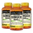 MASON NATURAL Whole Herb Ginger 500 mg, 6 Month Supply, Natural Herbal Supplement, 60 Capsules (3 Pack)
