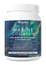 Marine Collagen Powder with Vitamin C & Hyaluronic Acid | For Hair and Skin Health | Metabolism Booster and for Muscle Health | 500 gm
