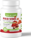Dash of Vigo Red Vine Leaf Extract (Vitis Vinifera) and Horse Chestnut Extract, Red Vine Extract for Healthy Skin, Leg Veins, Circulation, and Heart, 1500 mg, 60 Capsules