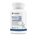 Trexgenics BETAINE - TMG (Trimethyglycine) 500 MG Homocysteine Balance, Liver Care, Athletic Performance Support (60 Veg Capsules) (Pack of 1)