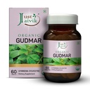Just Jaivik Organic Gymnema Tablets (600mg, 60 Count) - Pure Gymnema Sylvestre Herbal Supplement - USDA Certified Organic, Non-GMO & Vegan - Traditional Ayurvedic Botanical for Wellness