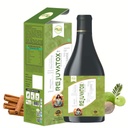 REJUVATOX Juice – Herbal Detox & Cleansing Drink with Lemon Grass, Amla, Ginger, Basil, Cinnamon & Mint | Supports Body Detox, Digestion & Wellness | Nutraceutical Drink | (pack of 1)