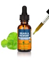 Herb Pharm Organic Nootropic Brain & Memory Supplement with Ginkgo Biloba Liquid Extract: Fast Absorptie for Mental Focus Support, Ginkgo Supplement, Vegan, Gluten-Free, Non-GMO, 1 Oz