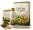LivCare Liver Reset Shots | Herbal Daily Wellness Liquid | Botanical Wellness Shot | Easy-to-Drink Formula | Daily Lifestyle Support for Men & Women | Convenient Liquid Wellness