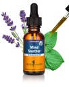 Herb Pharm Angst Soother Liquid Herbal Formula met Kava voor ondersteuning van het zenuwstelsel - 1 Ounce