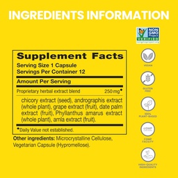 Himalaya PartySmart, 12 Capsule Tube - Alcohol Breakdown Lever Ondersteuning voor een betere ochtend na het drinken - Plant-based, Vegan, Non-GMO, Glutenvrij, Klinisch bestudeerd (pakket van 2)