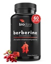 Berberine Advanced Plus met 1200mg Berberine - 100mg Ceylon Cinnamon en 100mg Green Tea Extract - 1400mg per dosis -120 Capsules - 60 dagen levering - Ondersteunt Immune en Cardiovasculaire