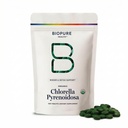 BioPure Chlorella Pyrenoidosa 100% Biologische, Gebarsten Cell Wall, Nutraceutical Superfood Verpakt met eiwitten, vitamines, mineralen en aminozuren die het metabolisme, detox & Immuniteit . 400 tabletten ondersteunt