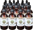 Hawaii Pharm Yohimbe Alcoholvrije Liquid Extract, Yohimbe Liquid (Pausinystalia Yohimbe) Gedroogde Bark Glycerite Natural Herbal Supplement, USA 15x4 fl.oz