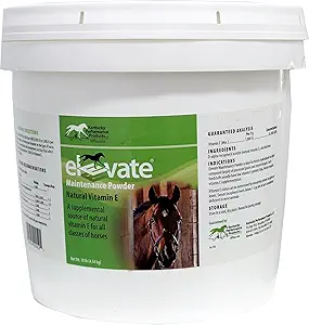 Kentucky Performance producten Verhoog onderhoud poeder, 10 pond, vitamine E Horse Supplement