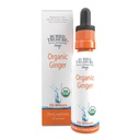 Begraven Treasure Ginger Drops - Gemaakt met biologische gemberwortel voor spijsverteringsondersteuning, verstoorde maag settle druppels, geen suiker, alcoholvrij, veelzijdig gebruik voor gemberthee of directe consumptie, 30 porties