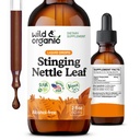 Wild & Organic Stinging Nettle Leaf Extract Drops - Urinary Tract Support - Liquid Stinging Nettle Supplement - Urtica Dioica Tincture - 2-Month Supply - Vegan, Sugar & Alcohol-Free - 2 fl oz