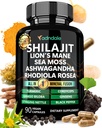 Adndale Shilajit Supplement. Pure Himalaya Biologische Shilajit voor mannen en vrouwen Capsules met Sea Moss Ashwagandha Rhodiola Rosea Lion