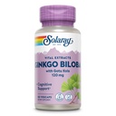 SOLARAY Ginkgo Biloba Extract met Gotu Kola - Ginko Biloba Capsules for Brain Health Support - Vegan, Lab geverifieerd, 60 dagen garantie - 60 porties, 60 VegCaps (60 VegCaps)