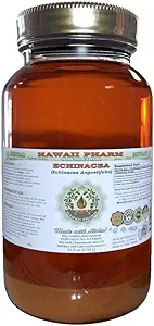 Echinacea Alcoholvrije Liquid Extract, Echinacea (Echinacea Angustifolia) Gedroogde Wortel Glycerite Hawaii Pharm Natural Kruidensupplement 32 oz Ongefilterd