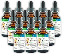 Morter Trace Minerals in Collective Suspension (12 Pack) Morter HealthSysteem Best Process Allyne