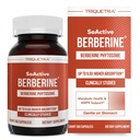 SoActive Berberine 550mg: 9.6X Hogere absorptie, klinisch bestudeerd, geoptimaliseerd Phytosome Ondersteunt Metabolisme &amp; AMPK Activering Niet-GMO, Soy-Free Gevalideerde Dosis 60 Servers