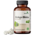 Futurebiotica Ginkgo Biloba Extra sterkte ondersteunt hersenfunctie en geheugenondersteuning, 250 Vegetarische capsules