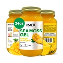 MAX FIT Sea Moss Gel Raw (12 Flavors) 24oz Wildсrafted Gold Sea Moss Gel from Saint Lucia | 92 Vitamins and Minerals | Pure Raw+Non-GMO | Vegan Superfood