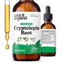 Wild & Organic Cryptolepis Sanguinolenta Tinctuur - Detox & Immune Support Supplement - 1-maand levering - Cryptolepis Extract Liquid Drops - Vegan, Sugar & Alcohol-Free - 2 fl oz