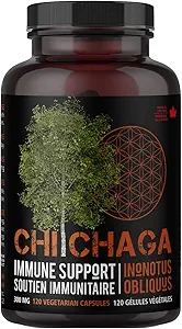 Chaga Mushroom Capsules Supplement voor Immune Health Support - 120 Vegetarische Capsules