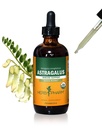Herb Pharm Certified Organic Astragalus Liquid Extract for Immuun System Support - 4 Ounce