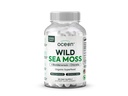 Organics Ocean Wild Sea Moss Capsules - 100% Organic Irish Sea Moss with Organic Chlorella, Bladderwrack and Vitamin D for Energy, Long Health and Thyroid Support for Women and Men - 60 Capsules